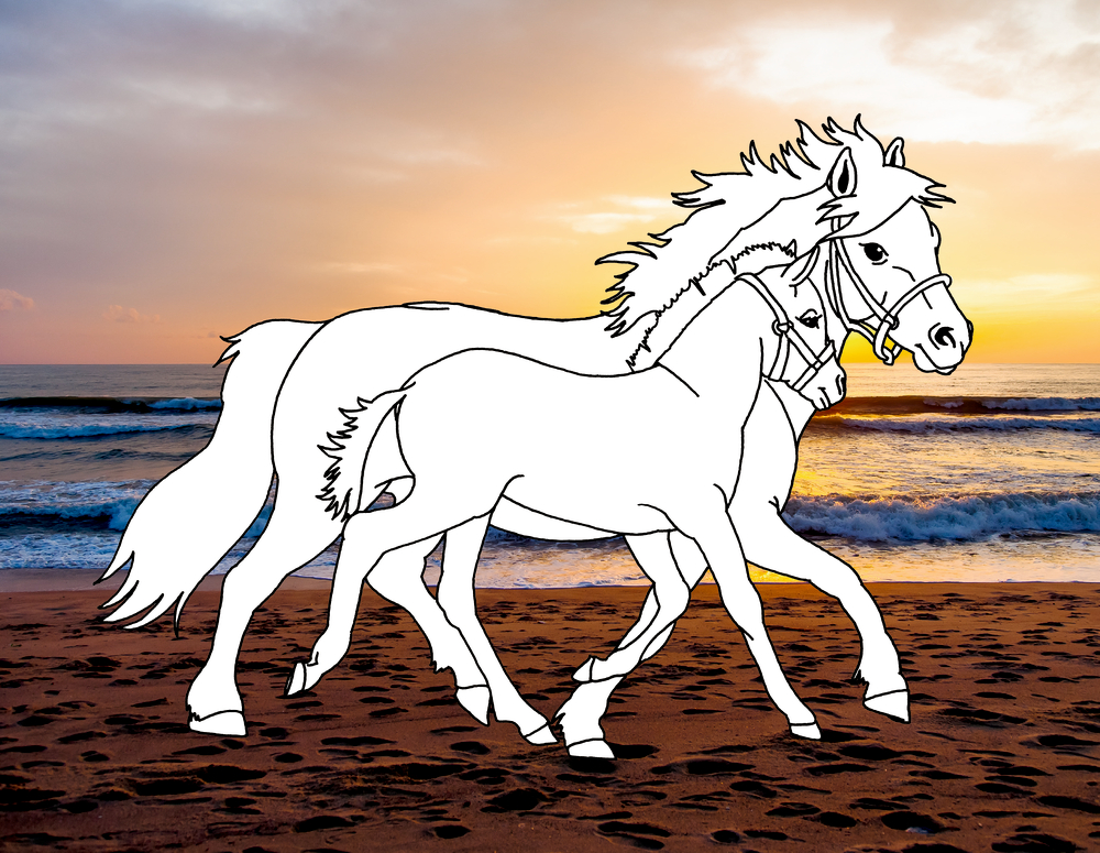 Zwei Ausmalpferde gehen an einem fotografierten Strand mit SOnneruntergang.