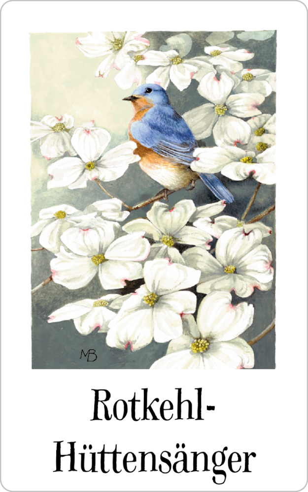 Ein Vogel mit orangefarbener Brust sitzt auf einem Ast mit weißen Blüten; Text: Rotkehl-Hüttensänger.