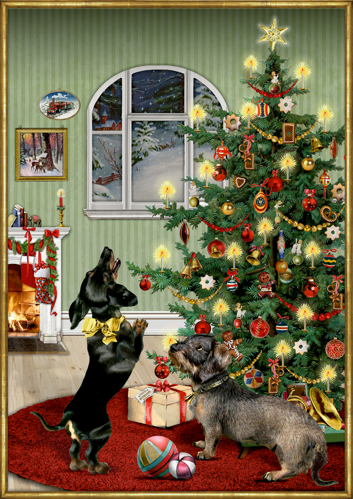 Dackel im Weihnachtszimmer, Wand-Adventskalender A3 (Behr)