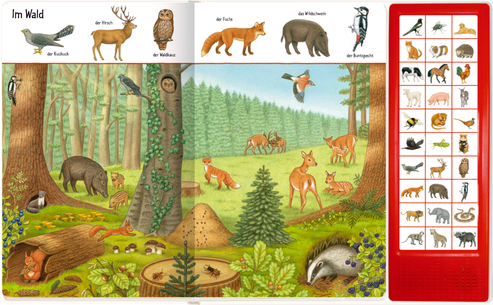 Waldillustration mit Tieren mit Bezeichnung und einer Tiergeräuschtafel auf der rechten Seite.