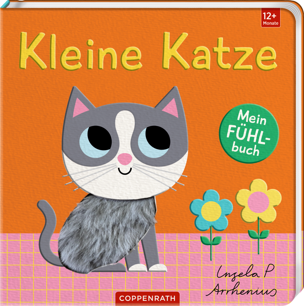 Mein Fühlbuch: Kleine Katze (Fühlen&begreifen)