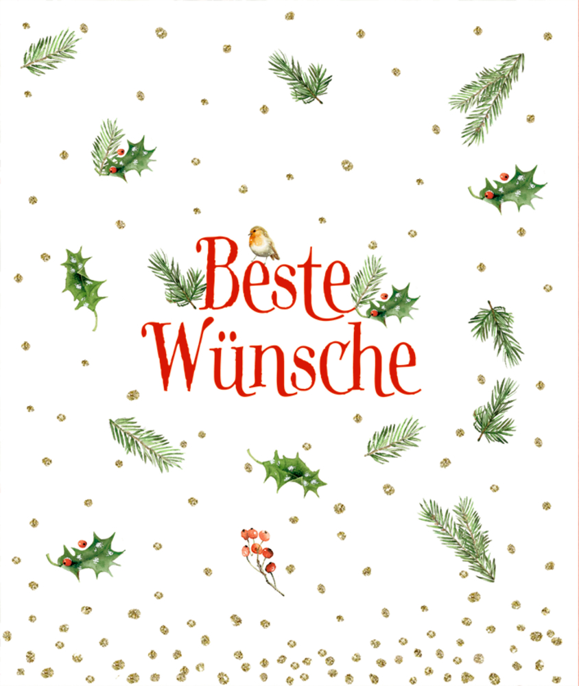 Geschenktüten-Buch: Schöner schenken (Weihnachtlich/Bastin)