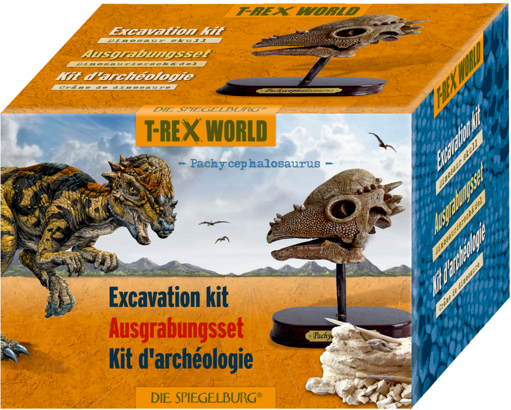 Ausgrabungsset Dinoschädel Pachycephalosaurus  T-Rex World