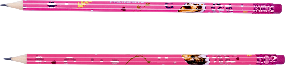 Bleistift-Set Best friends - Pferdefreunde