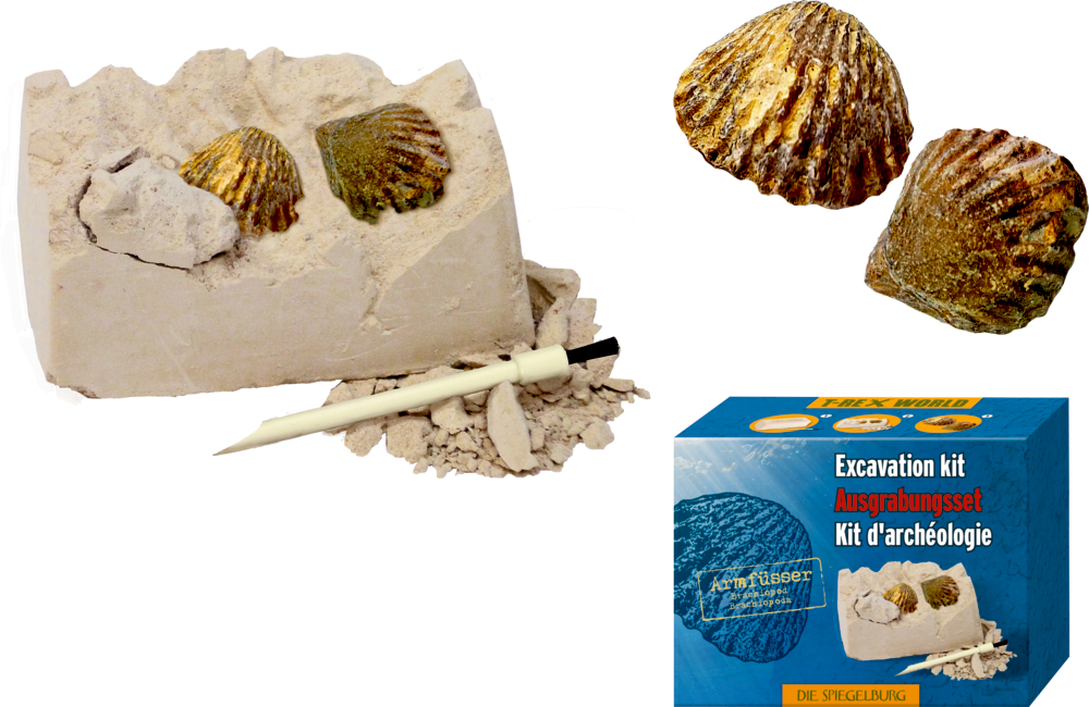 Mini-Ausgrabungsset Fossilien - T-Rex World