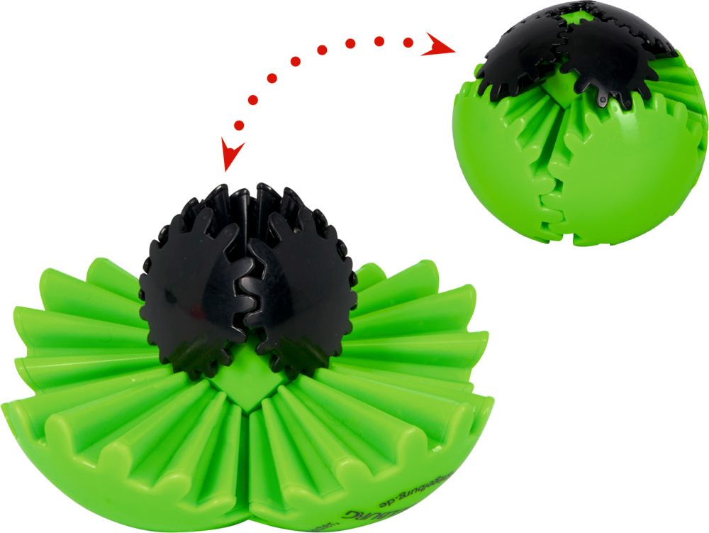 Grün-schwarzer Spielball entfaltet sich fächerförmig, ein Pfeil zeigt die Verwandlung.