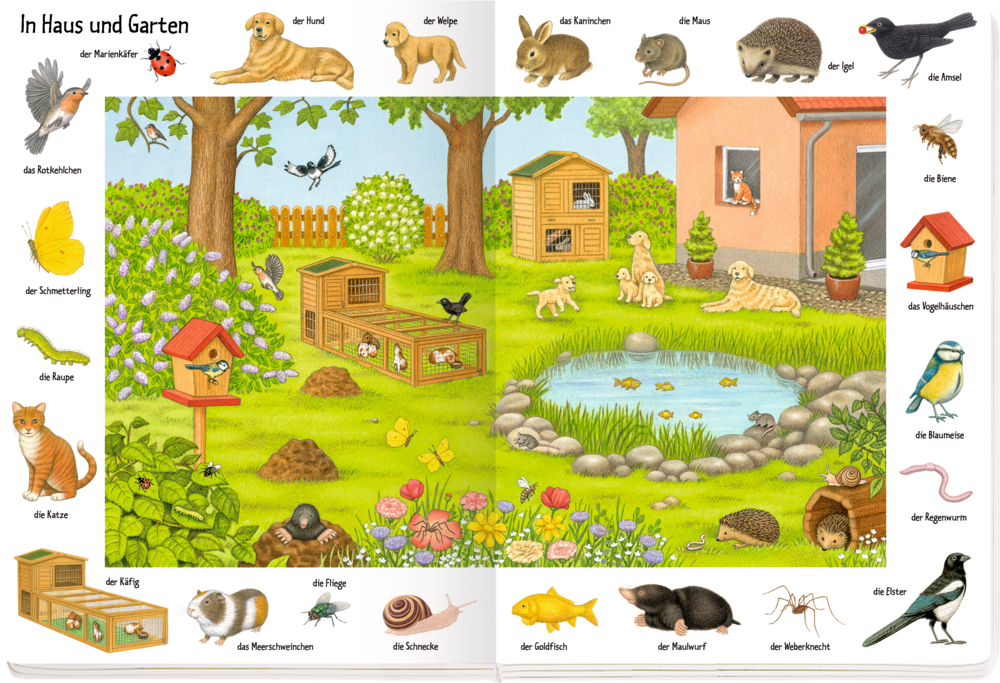 Bilder suchen - Wörter finden: So viele Tiere 