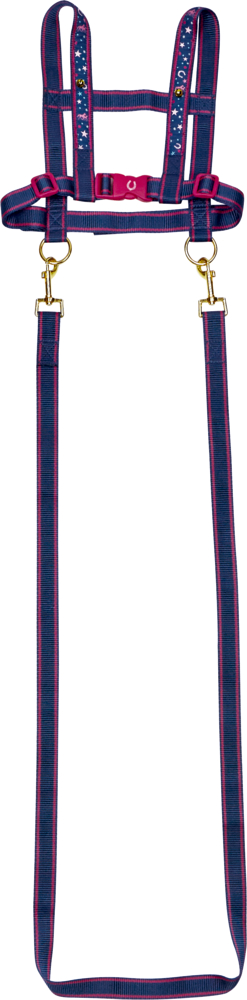 Pferdeleine Pferdefreunde Blau-rosa Spielzeug-Pferdleine mit goldenen Clips.