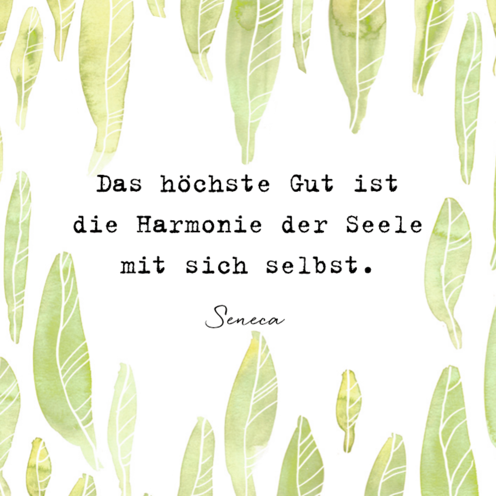 Sprüchebox: Das Leben ist schön Sprüchebox: Das Leben ist schön