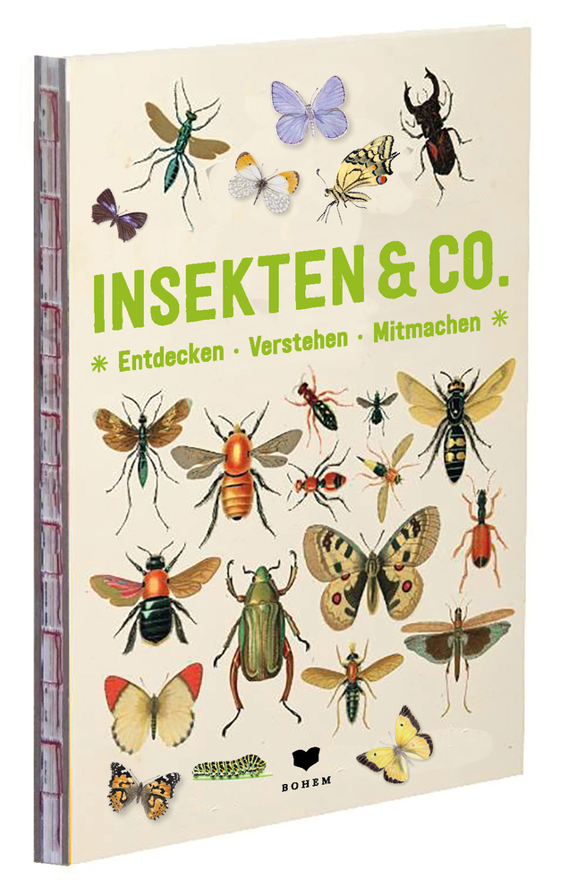 INSEKTEN & Co. - Entdecken-Verstehen-Mitmachen