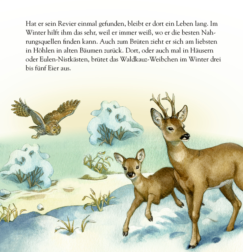 Eine Eule fliegt, wÃ¤hrend ein Reh mit seinem Kitz im verschneiten Winterwald steht.
