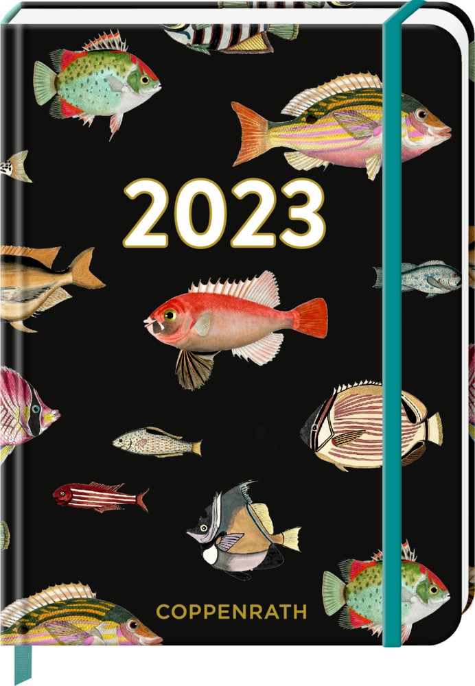 Kleine Wochenkalender: Mein Jahr 2023 - Fische (I love my Ocean)