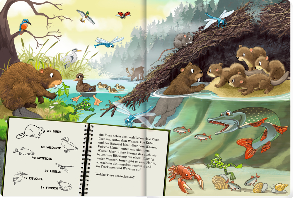 Biber und Flusstiere in einer Flussszene, im Vordergrund sind beschriftete Tierzeichnungen in einem Notizbuch zu sehen, alles abgebildet in einem offenen Buch.