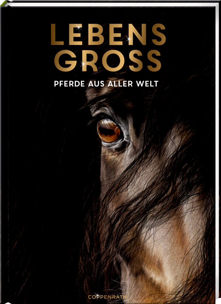 Lebensgroß - Pferde aus aller Welt Nahaufnahme eines Pferdeauges auf dunklem Hintergrund, des Cover "Lebens Groß – Pferde aus aller Welt".