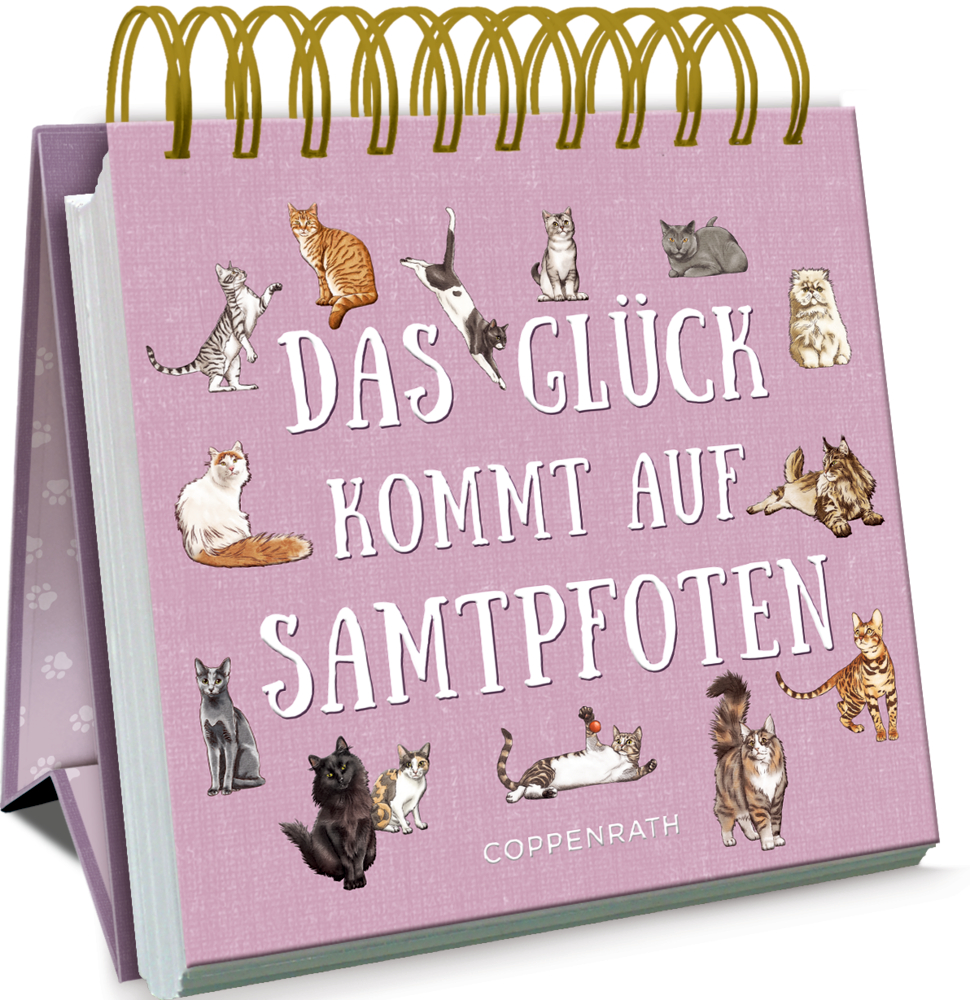 Kleines Spiralaufstellbuch: Das Glück kommt auf Samtpfoten (cats & dogs) Rosafarbenes Spiralaufstellbuch mit illustrierten Katzen und dem Spruch „Das Glück kommt auf Samtpfoten“.