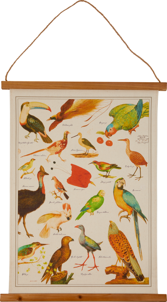 Historische Bildtafel - Illustrierte Tierwelt (ca. 45x60 cm)