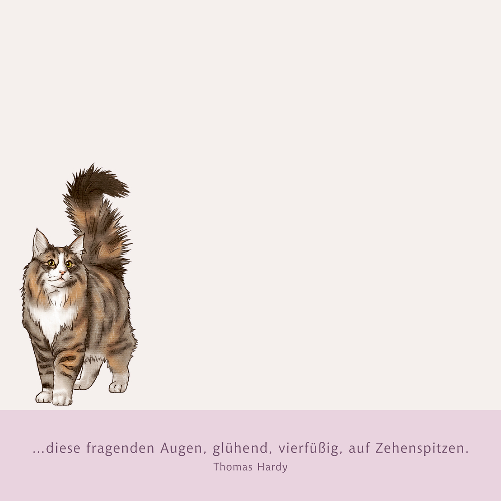 Notizblock-Beispielblatt: Eine flauschige braun-weiße Katze und ein Zitat von Thomas Hardy.