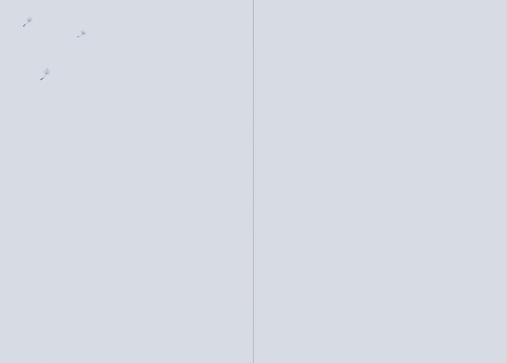 Zwei Löwenzahnsamen schweben vor hellem grauem Hintergrund. In der Mitte verläuft eine dünne senkrechte Linie.