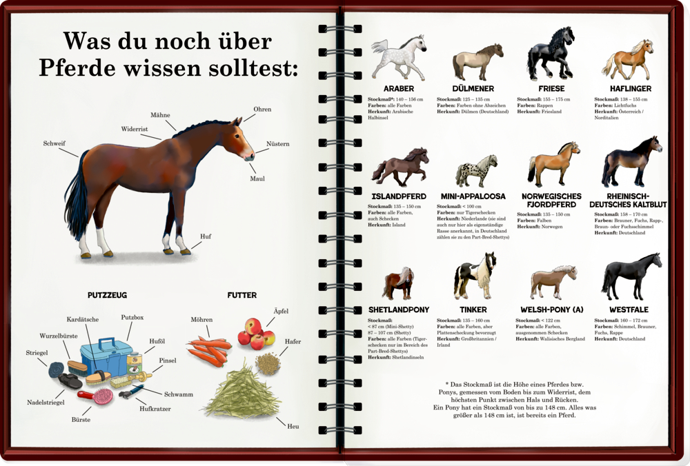 Buchseiten mit Informationen und Bildern zu Pferderassen, Pflegewerkzeuge und Futter.
