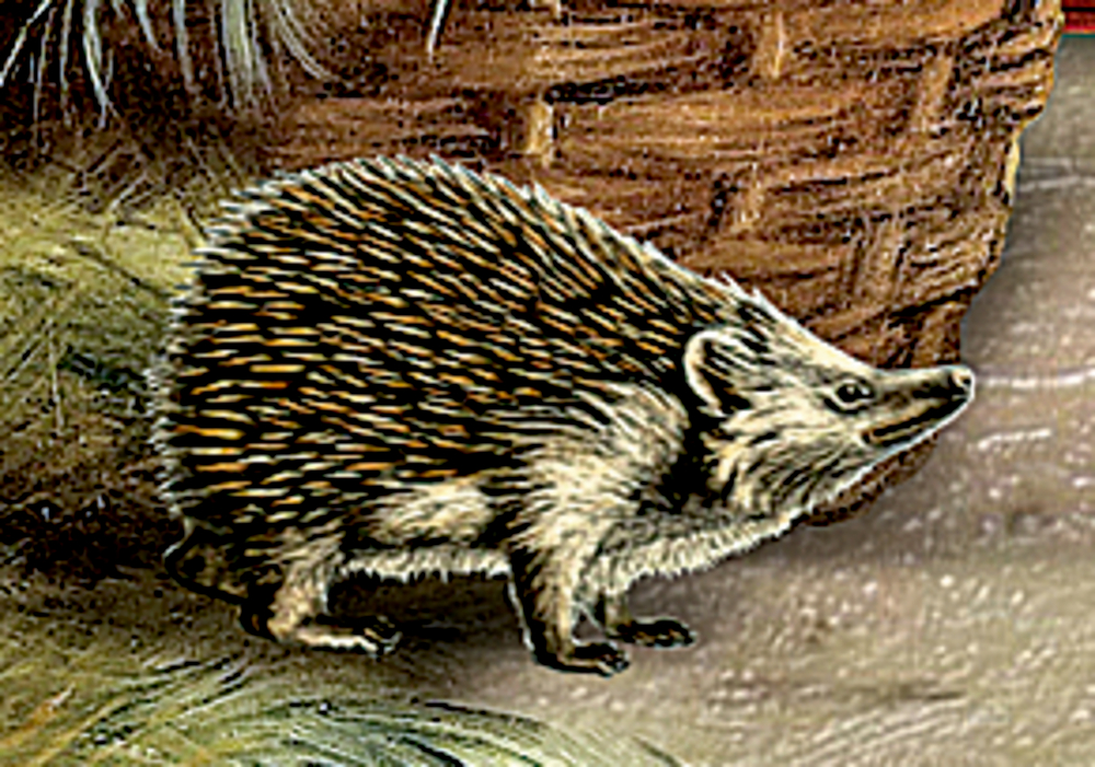 Ein Igel mit stacheligem Fell steht neben einem geflochtenen Korb auf dem Boden.
