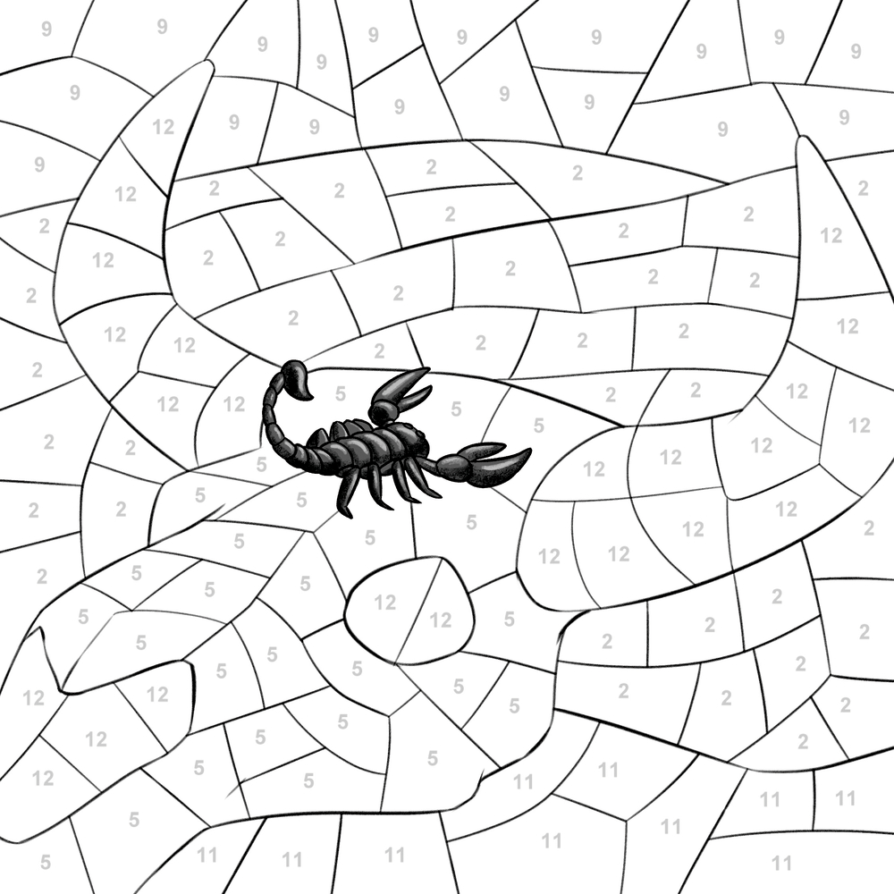 Malen-nach-Zahlen-Seitevon einem Skorpion, das zum Ausmalen in nummerierte Abschnitte unterteilt ist.