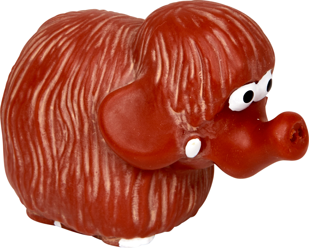 Ein braunes, pelziges Tier mit großen Ohren, Augen und einem Rüssel.