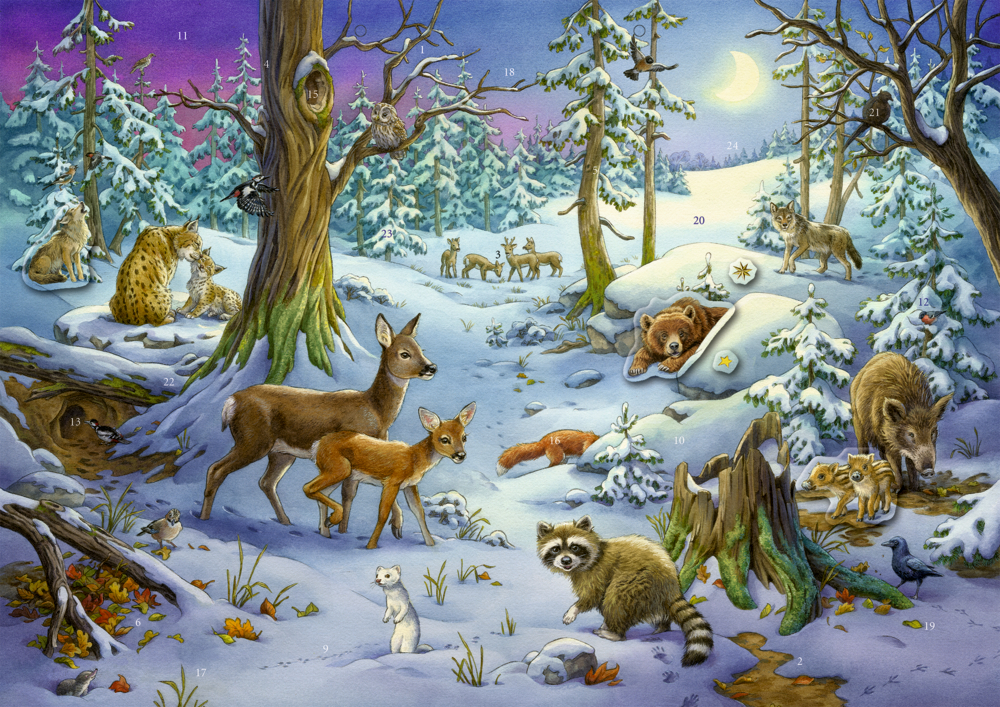 Tiere im Winterwald, Sticker-Adventskalender