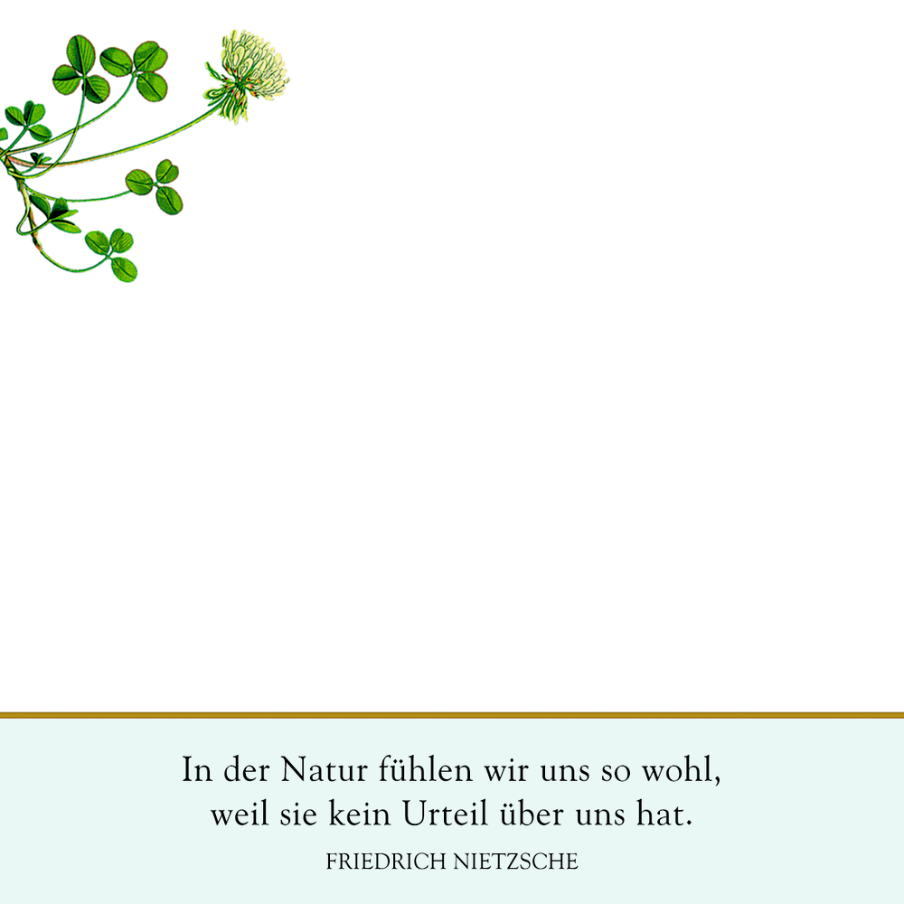 Zettelkästchen "Schöne Gedanken"  - Sammlung Augustina