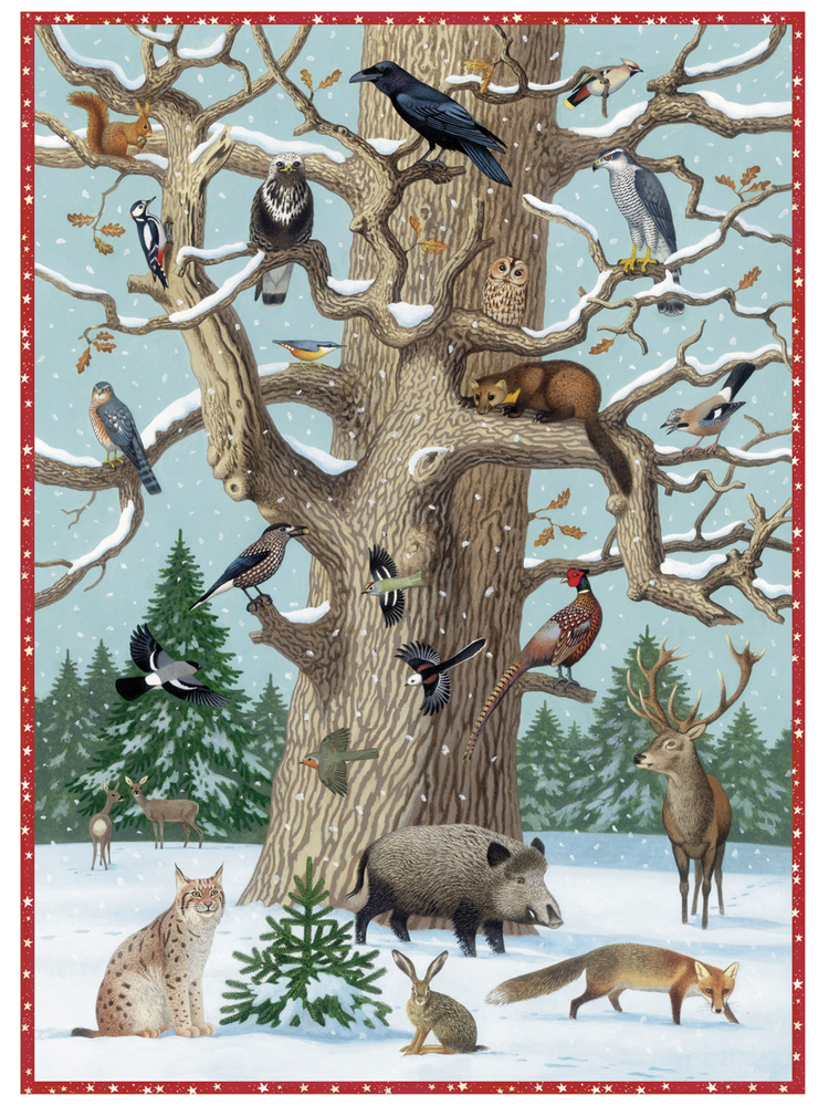 Tiere im Winter, Adventskalender