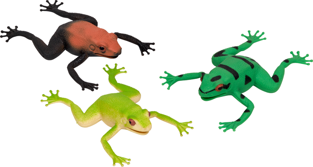 Wabbel-Frosch - Wild+Cool