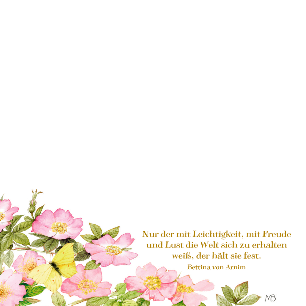 Zettelkästchen - Zauberhaft notiert! (M.Bastin/RosenTräume)
