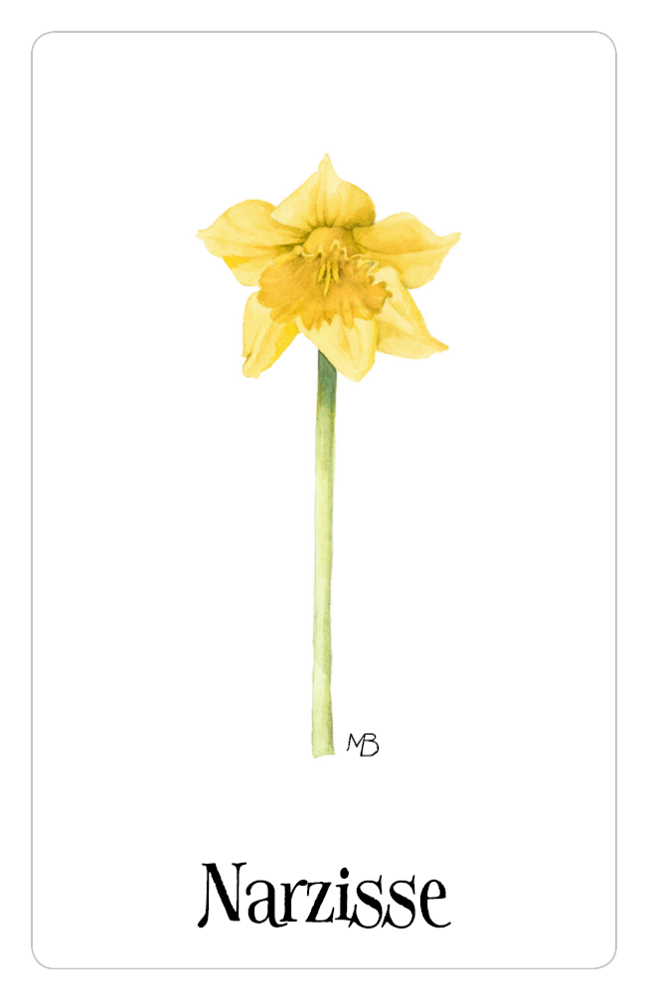 Schachtelspiel – Zauberhaftes Blumen-Memo (M. Bastin) Schachtelspiel – Zauberhaftes Blumen-Memo (M. Bastin)