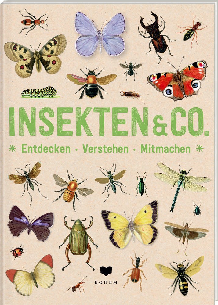 INSEKTEN & Co. - Entdecken-Verstehen-Mitmachen Farbenfroher Buchumschlag mit illustrierten Insekten und Schmetterlingen, betitelt „INSEKTEN & CO.“.