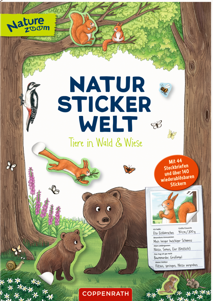Illustration zeigt Wald mit Bären, Füchsen, Vögeln und Eichhörnchen sowie Text zu einem Stickerbuch für Kinder.