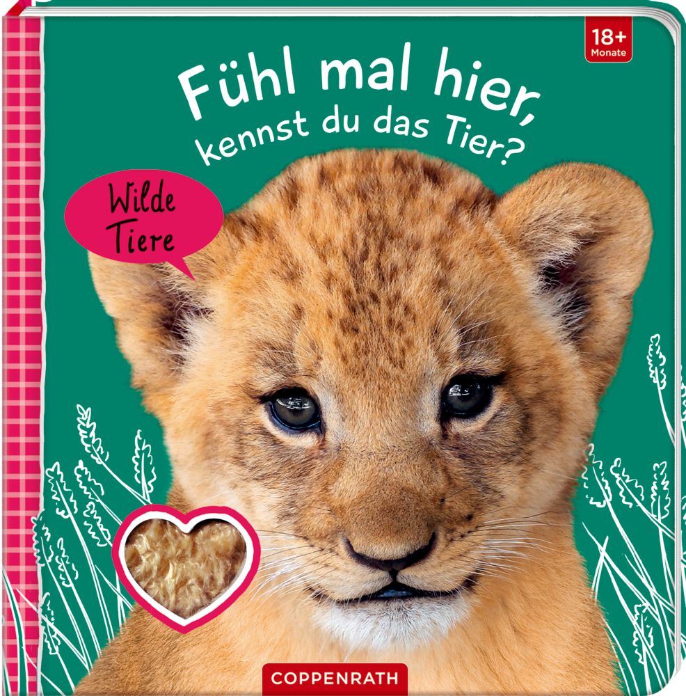 Fühl mal hier, kennst du das Tier? Wilde Tiere (Fühlen & begreifen)