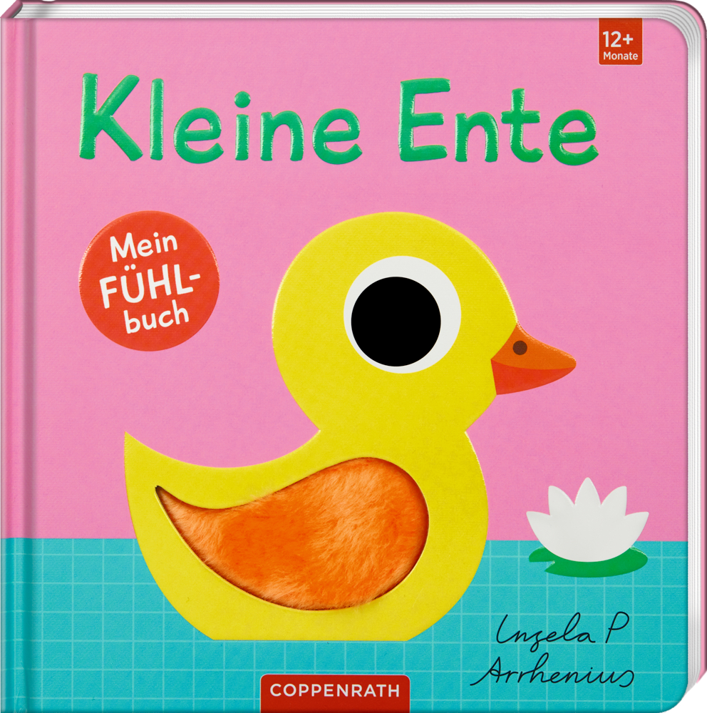Mein Fühlbuch: Kleine Ente (Fühlen&begreifen)