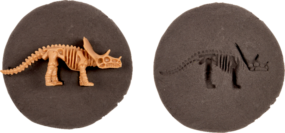 Fossil zum Selbermachen Dino-Skelett - T-Rex World