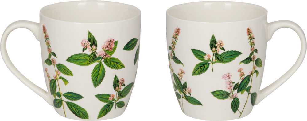 Porzellan-Tasse "Kräuter" (Sammlung Augustina) Vorder- und Rückseite einer weißen Tassen mit grünem Blatt- und rosa Blumenmuster.