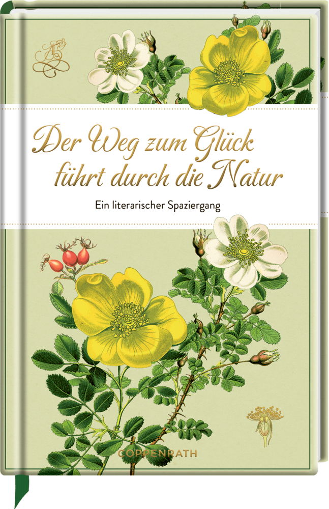 Edizione: Der Weg zum Glück führt durch die Natur  - Sammlung Augustina Buchcover mit gelben und roten Blumen, grünen Blättern und dem Titel: Der Weg zum Glück führt durch die Natur.