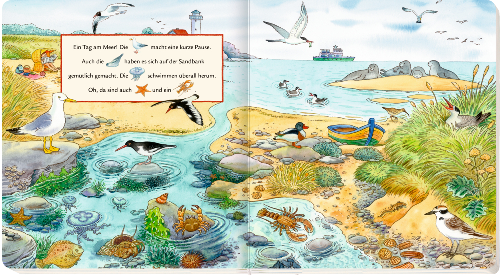 Buchinnenseite mit Küstenszene mit Vögeln, Muscheln, einem Boot und Tieren am Ufer und im seichten Wasser.