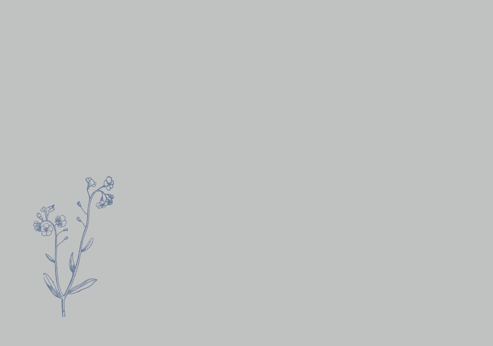 Briefumschlag: Minimalistische blaue Blumenskizze unten links auf hellgrauem Hintergrund.