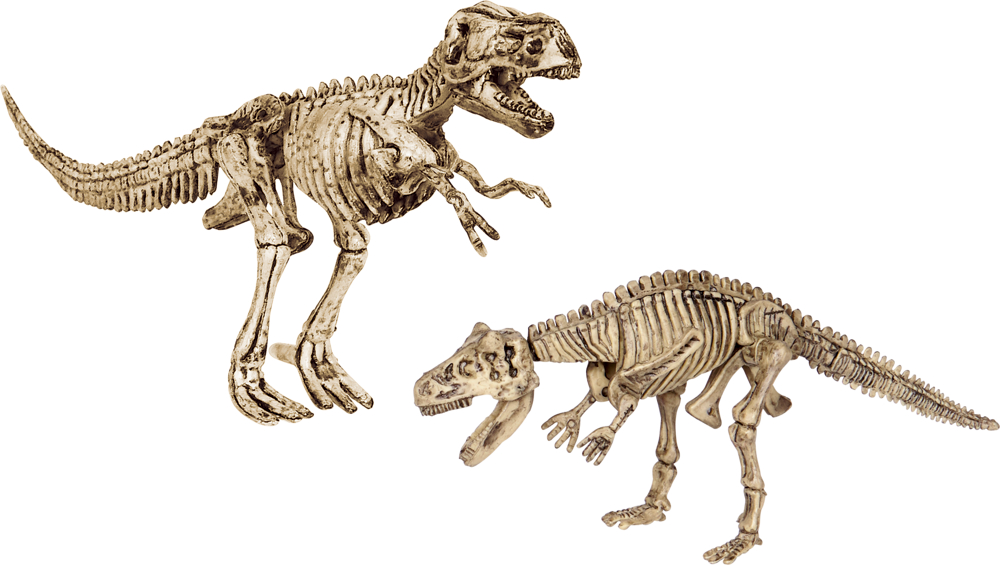 Ausgrabungsset Battle Pack - T-Rex + Carnotaurus