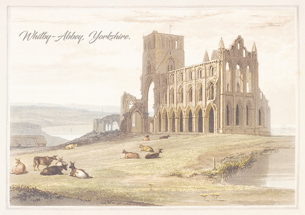 Beilgae auf der Kühe unter einem blassen Himmel ruhen bei den Ruinen der Whitby Abbey auf einem grasbewachsenen Hügel in Yorkshire.