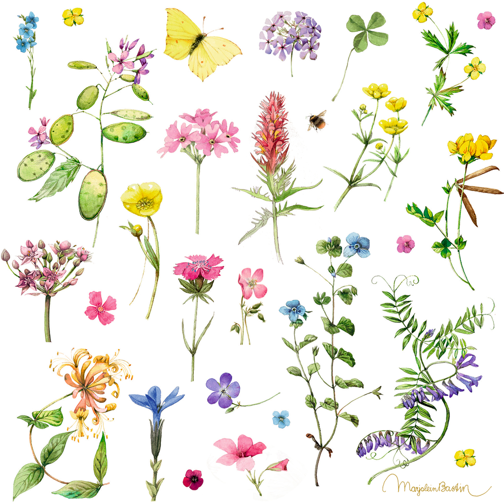 Servietten (20 St.) GartenLiebe (M. Bastin)