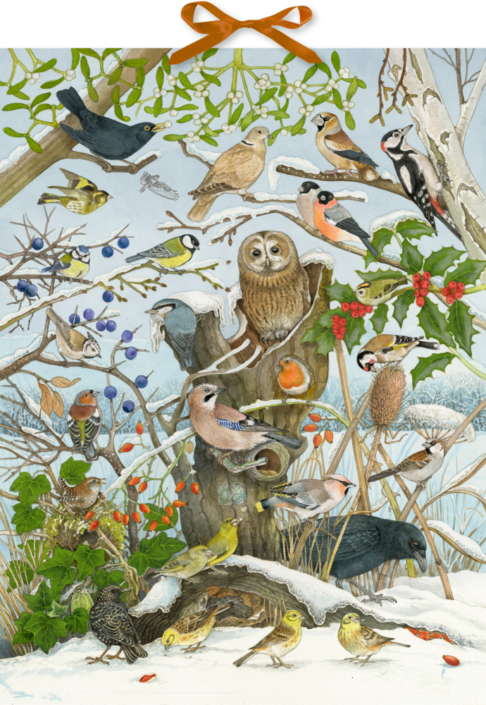 Unsere Vögel im Winter, Sound-Adventskalender Unsere Vögel im Winter, Sound-Adventskalender
