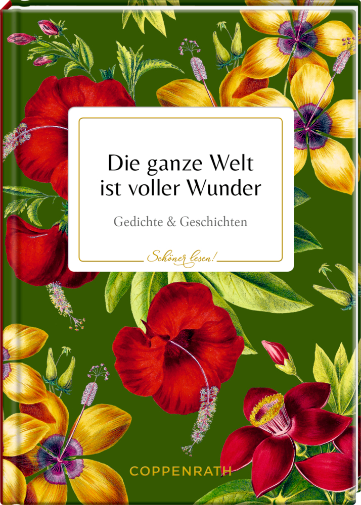 Schöner lesen! No. 28: Die ganze Welt ist voller Wunder