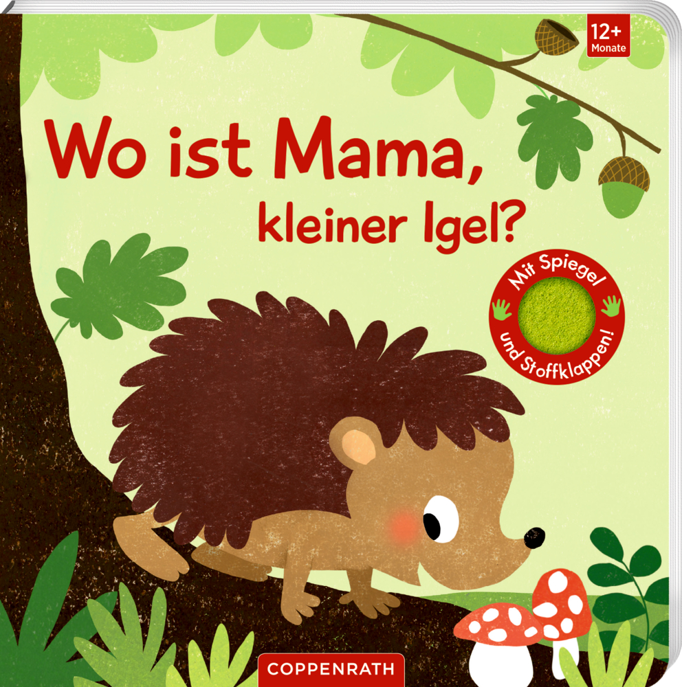 Wo ist Mama, kleiner Igel? (Fühlen&begreifen) Kleiner Igel neben einem Baum und Pilz, auf dem Cover von: „Wo ist Mama, kleiner Igel?“.