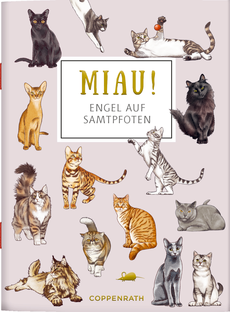 Schöne Grüße: MIAU! - Engel auf Samtpfoten (cats & dogs) Illustration von Katzenrassen auf hellem Hintergrund.