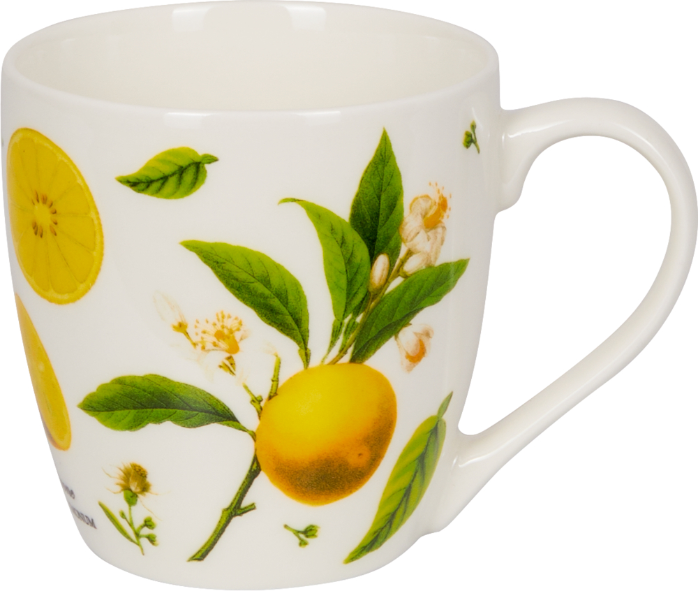 Porzellan-Tasse "Zitronen" - Sammlung Augustina  Weiße Keramiktasse mit seitlich aufgedruckten gelben Zitronen, grünen Blättern und kleinen weißen Blumen.