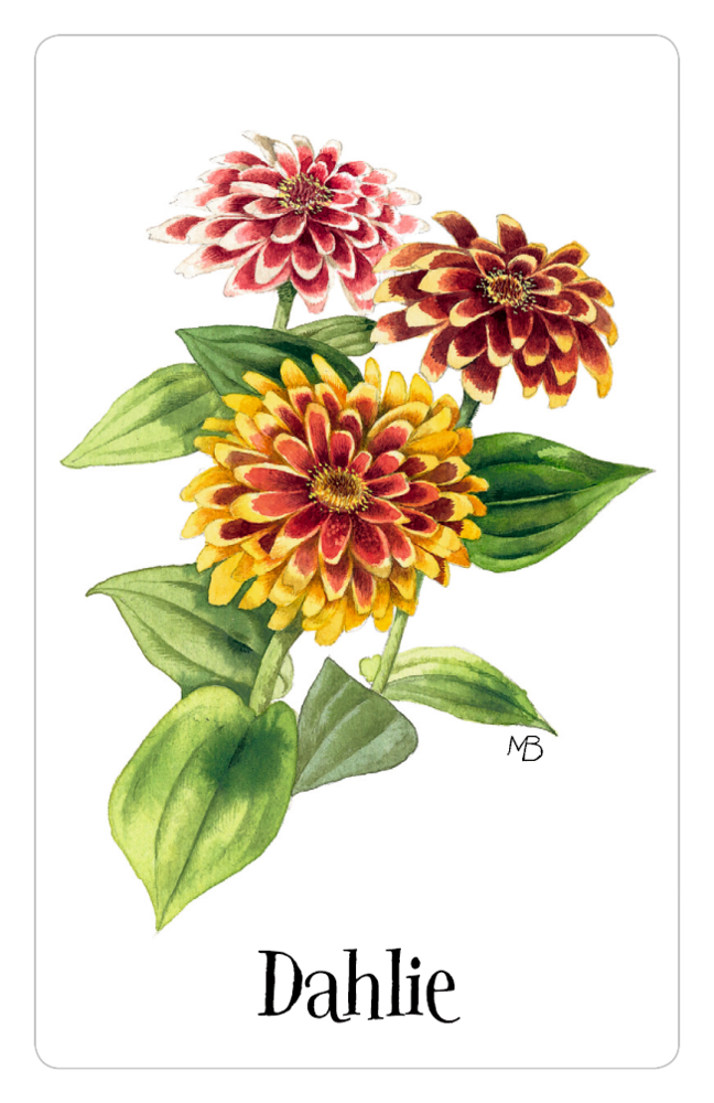 Schachtelspiel – Zauberhaftes Blumen-Memo (M. Bastin)